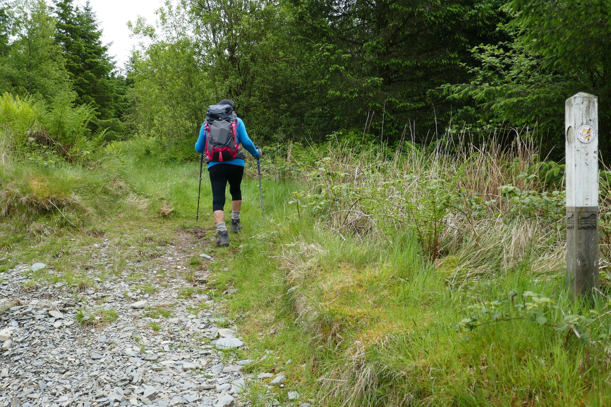 RachelSeabrook.net | Wild Walking | Devils-Bridge; pic50
